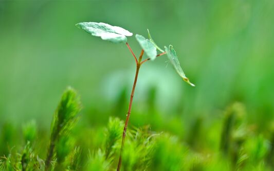 节能环保,自贡节能环保网站建设,自贡节能环保网站设计方案